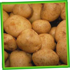 Kızartmalık Patates