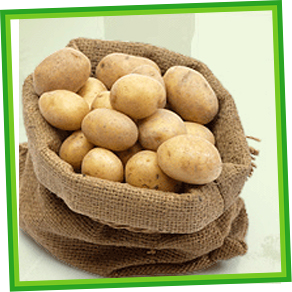 Haşlamalık Patates